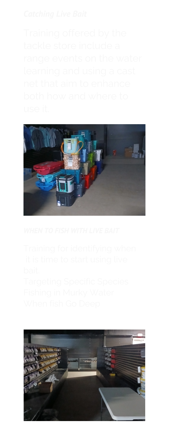 Catching Live Bait  Training offered by the tackle store include a range events on the water learning and using a cast net that aim to enhance both how and where to use it. WHEN TO FISH WITH LIVE BAIT  Training for identifying when  it is time to start using live bait. Targeting Specific Species  Fishing in Murky Water When fish Go Deep